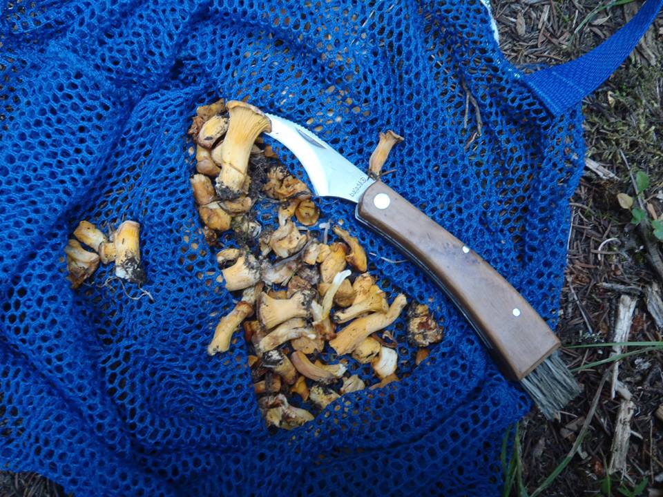 Baladeo-ECO029-akce-3