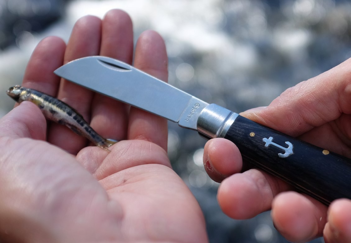 Baladeo-ECO061-akce-1