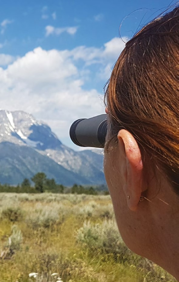 Baladeo-PLR001-akce-1