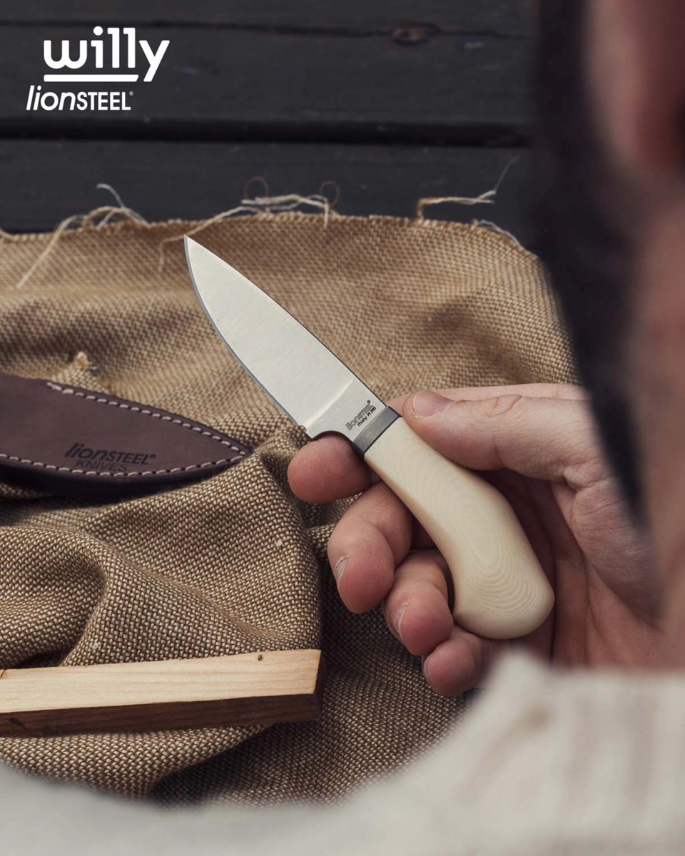 Lionsteel-Willy-14