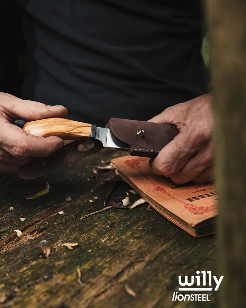 Lionsteel-Willy-21