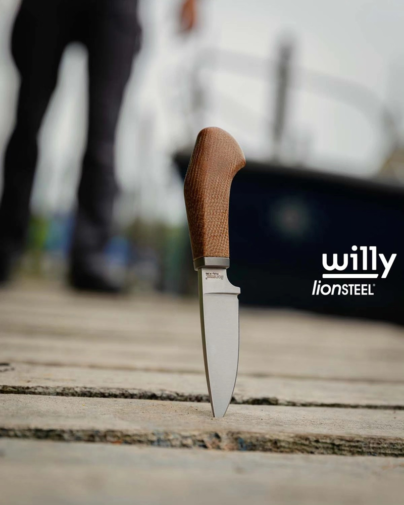 Lionsteel-Willy-23