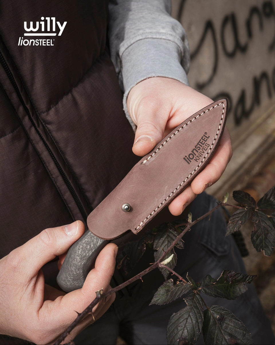 Lionsteel-Willy-24