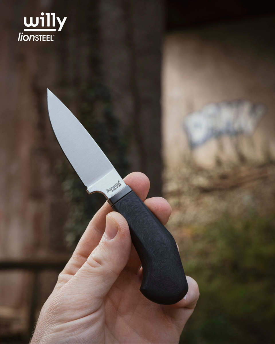 Lionsteel-Willy-25