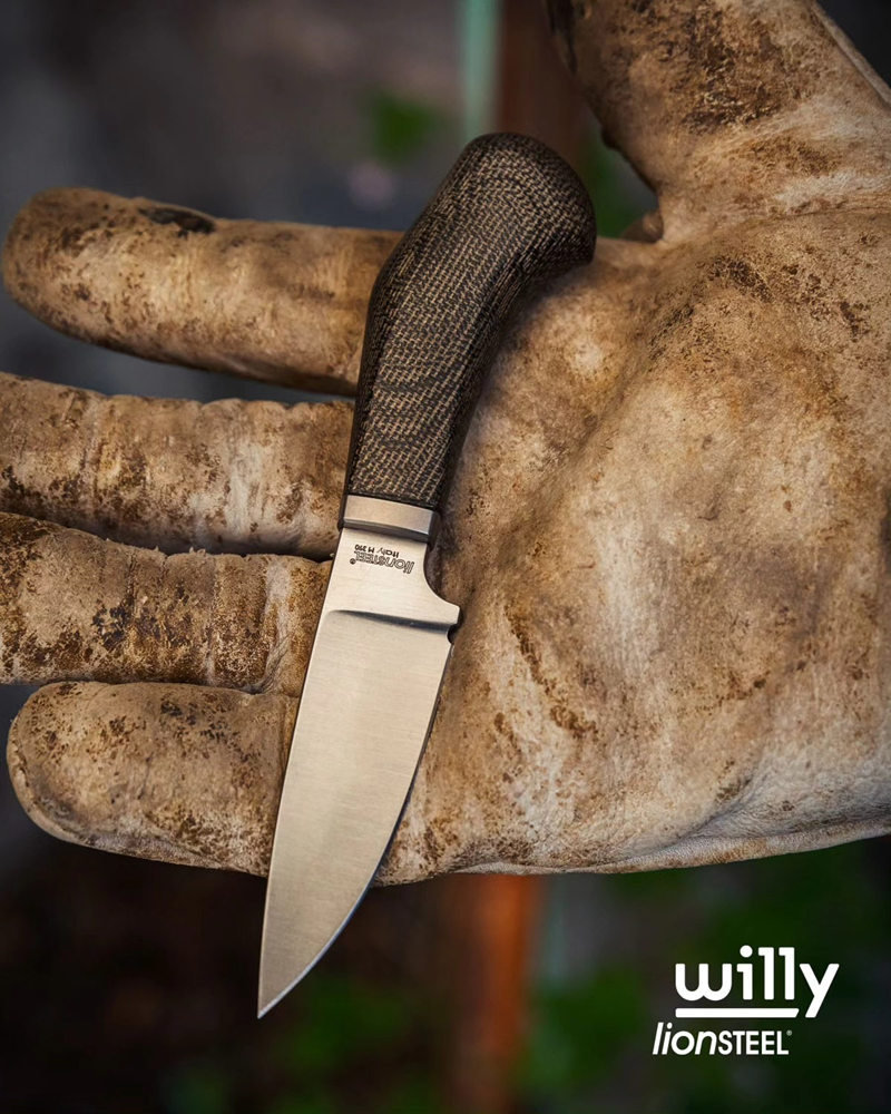 Lionsteel-Willy-30