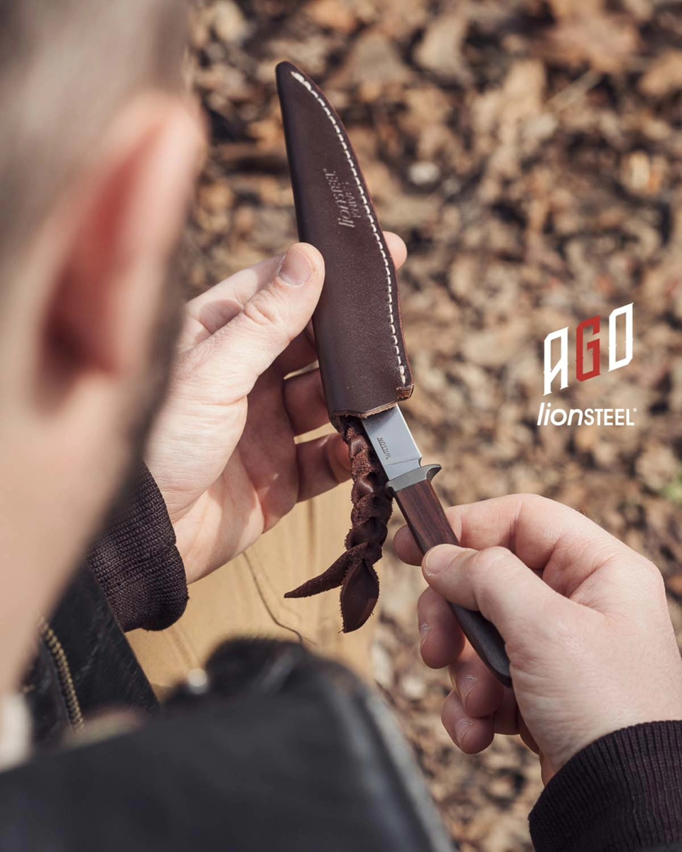 Lionsteel-ago-12