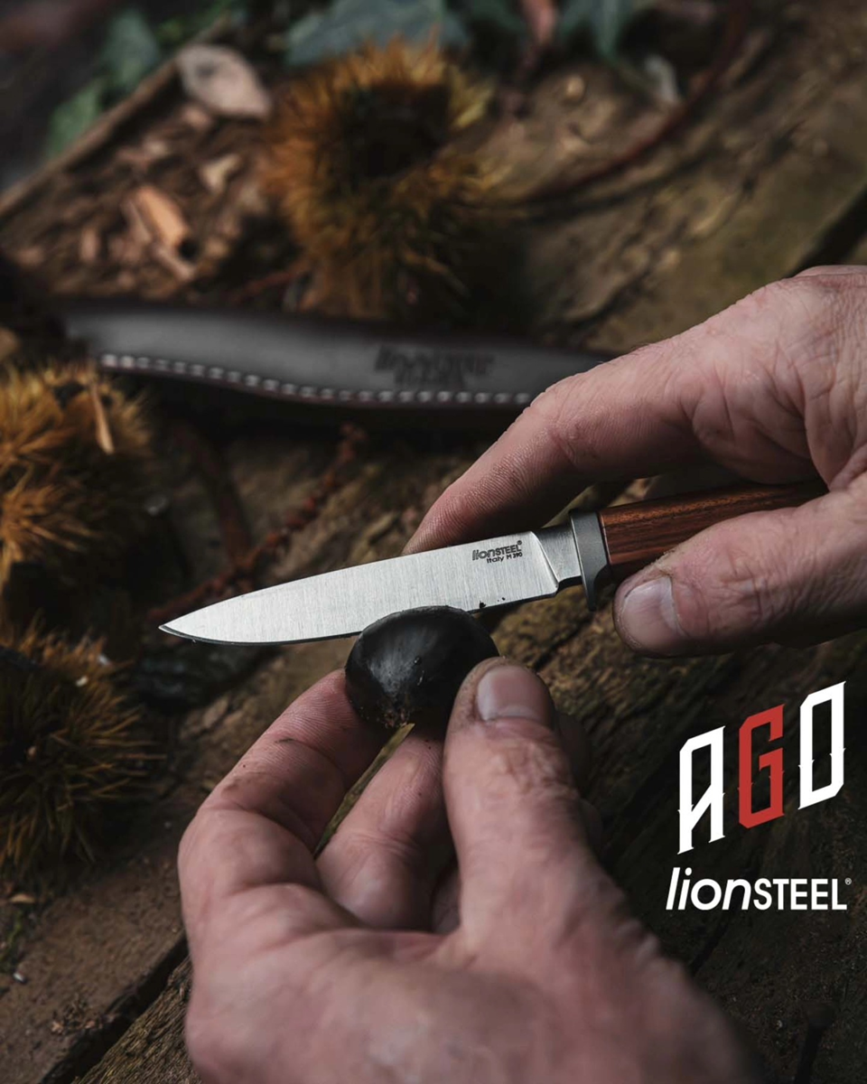 Lionsteel-ago-13