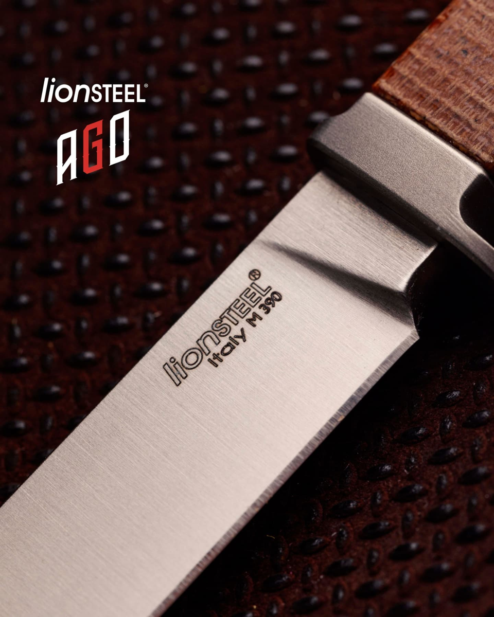 Lionsteel-ago-17