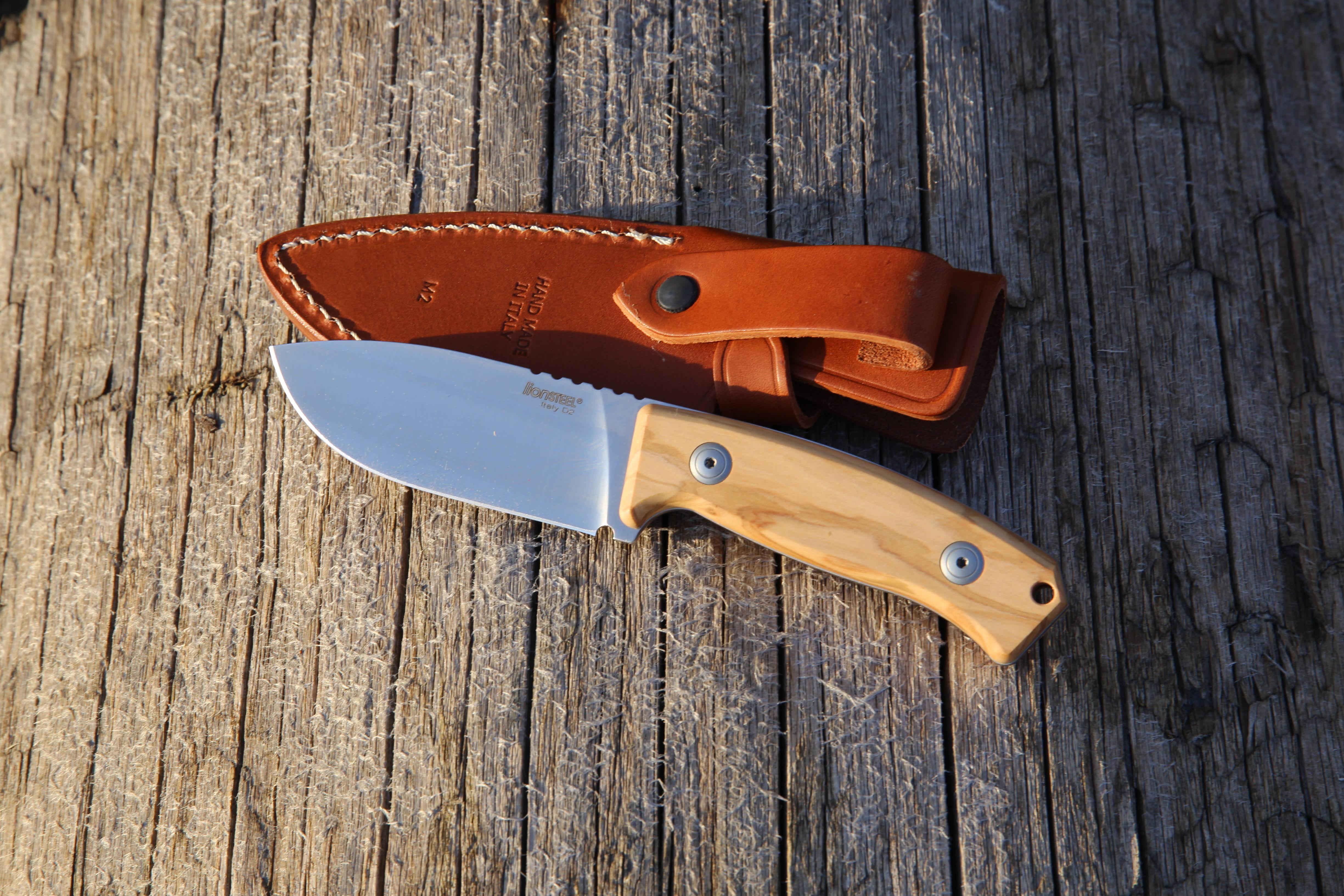 Lionsteel-m2-22