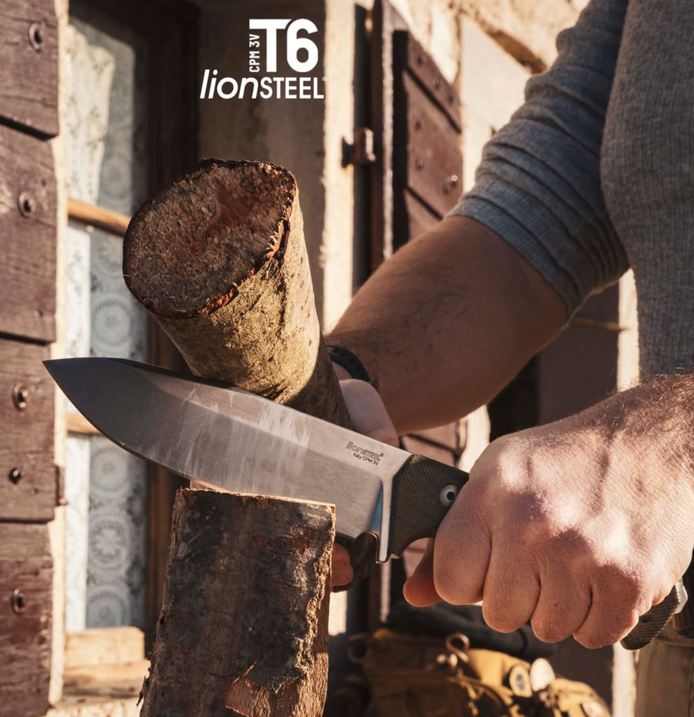 Lionsteel-t6-10