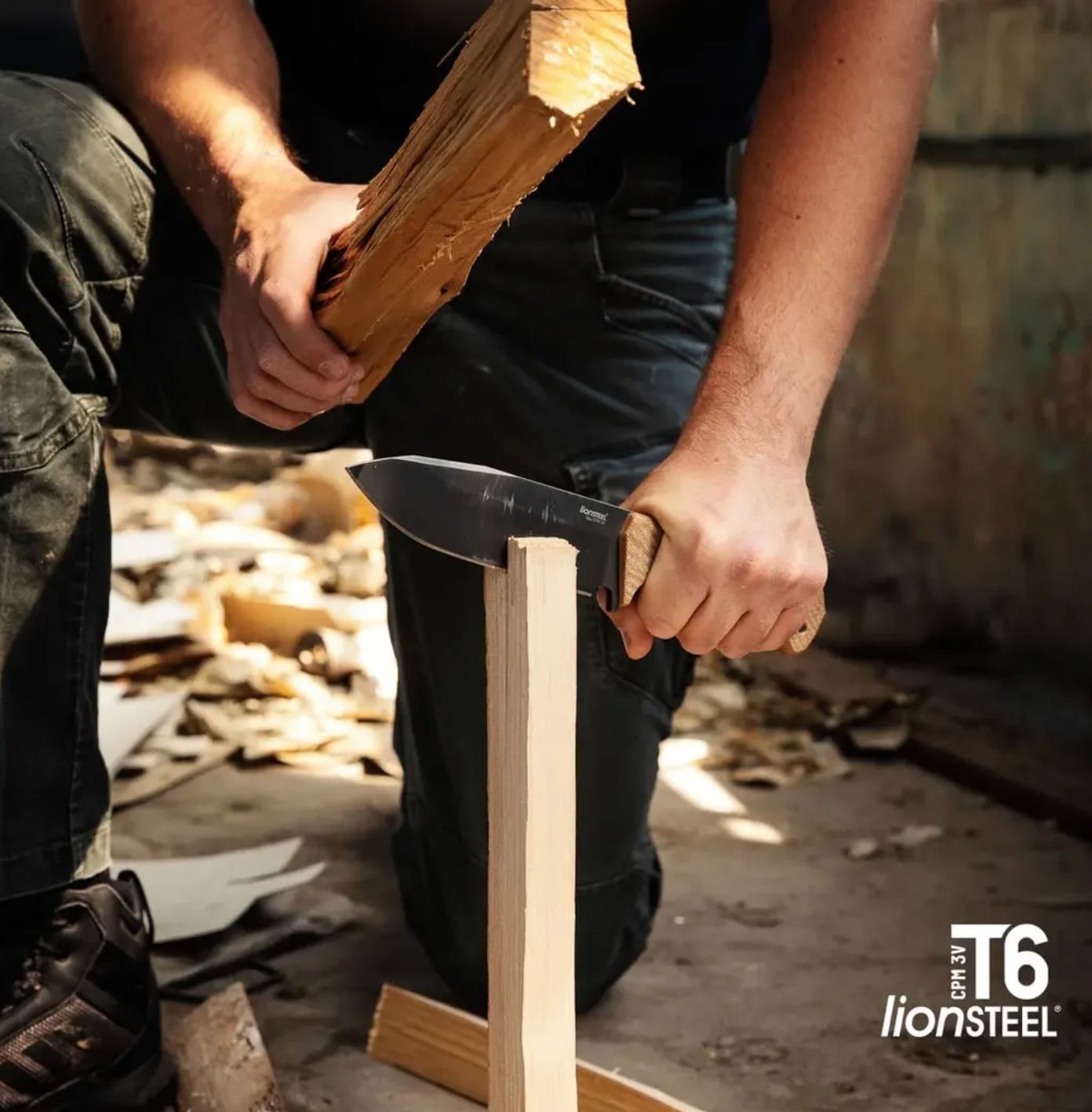 Lionsteel-t6-11
