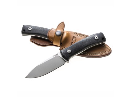 Lionsteel M4 G10