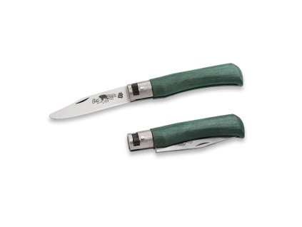 Antonini OldBear 9357/17_MVK - 2