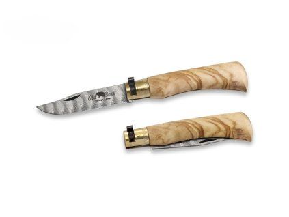 Antonini OldBear 9305/19_LU 1