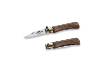 Antonini OldBear 9307/15_LN - 3