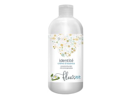 Rendering Identite