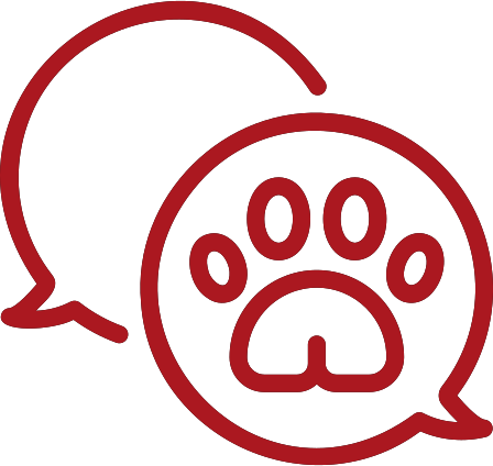 Odborné poradenství