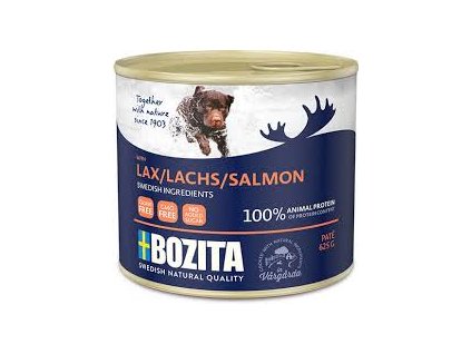salmon