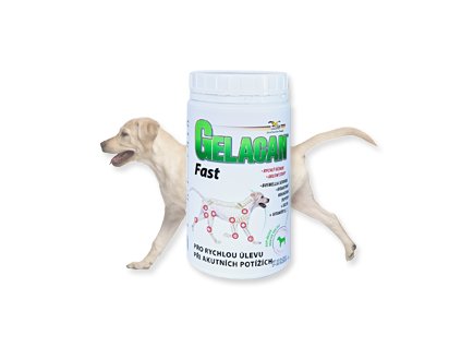 gelacan fast 500g labrador