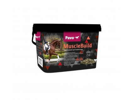 pavo musclebuild
