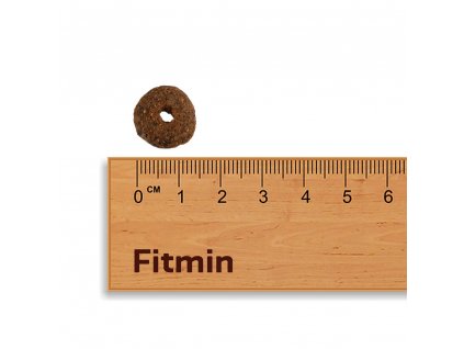Fitmin Medium Senior