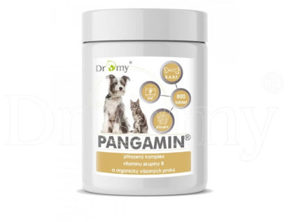 pangamin