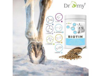 dromy biotin 2
