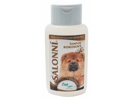 Bea Salonní šampon kokos
