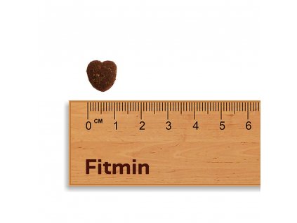 Fitmin For Life Dog Mini