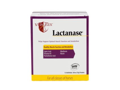 Vita Flex Lactanase 25g