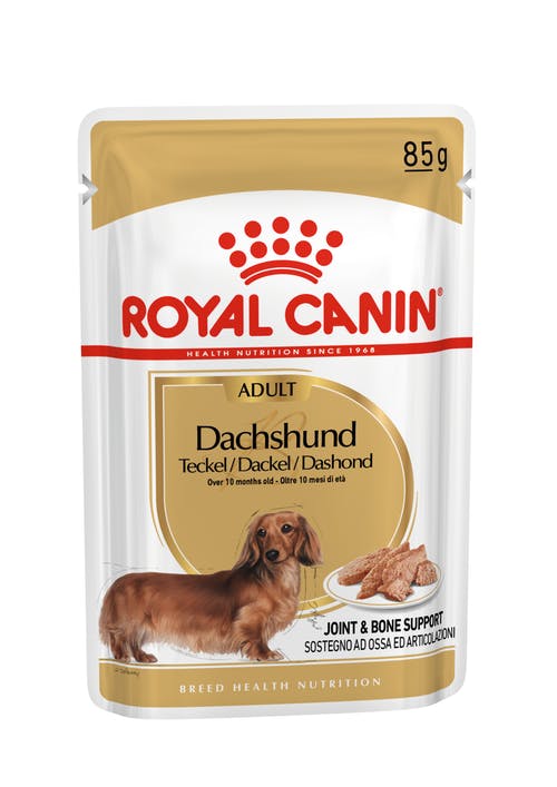 Royal Canin kapsička Jezevčík 85g