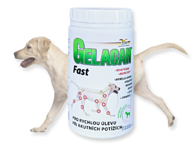 Gelacan Fast 150g