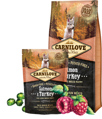 Carnilove Dog Salmon & Turkey for Large Breed Puppy 12kg