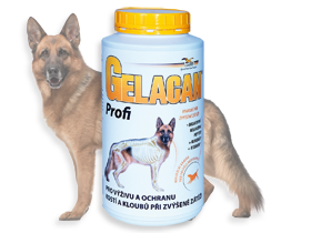 Gelacan Plus Profi 500g