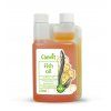 fish oil