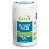 junior maxi