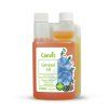 linseed oil