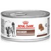 Royal Canin VD Cat/Dog konz. Recovery 195g