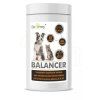 Dromy Balancer