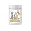 pangamin