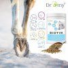 dromy biotin 2