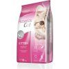 Premius Cat Kitten