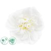 dezinfekcny aroma olej white flower