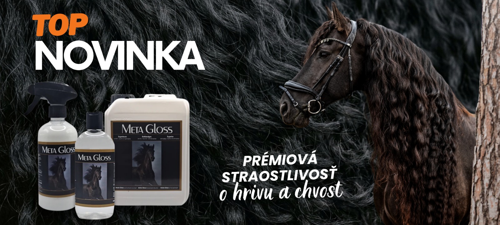 Meta Gloss - watehorse.sk