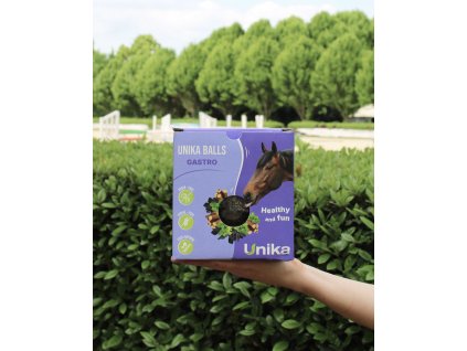 713103018 ambi 1 web