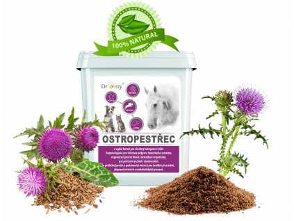 ostropestrec mariansky v sypkej forme dromy 3 kg