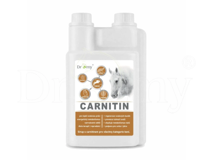 339 1 carnitin