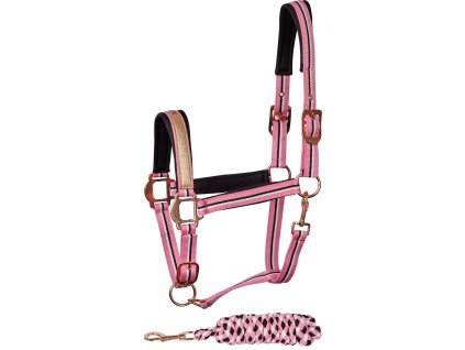 31000018 roze