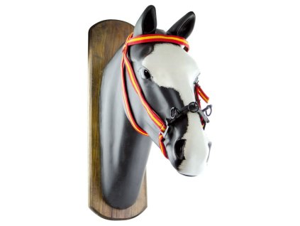 0038777 jm spanish flag cavesson dm00093 750