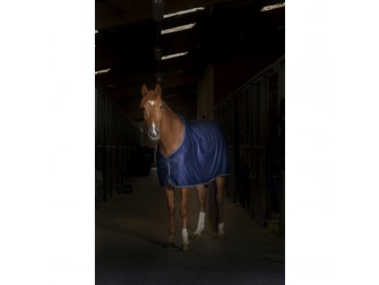 odpocovacia deka equitheme 03